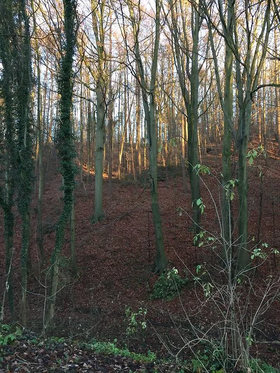 Lägenhet Greenwoods cottage Valkenburg aan de Geul Nederländerna